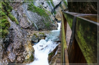 comp_DSC05238