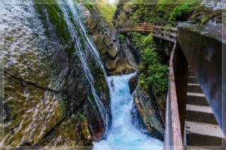 comp_DSC05242
