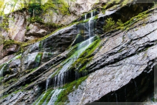 comp_DSC05243