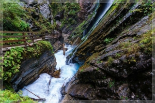 comp_DSC05247