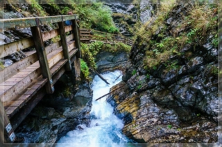 comp_DSC05249