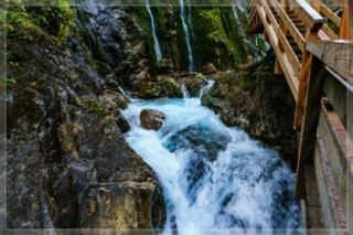 comp_DSC05251