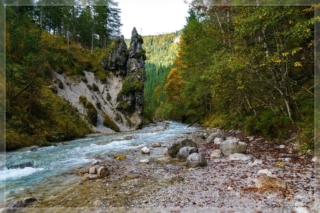 comp_DSC05258