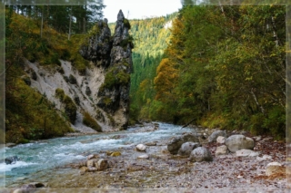 comp_DSC05260