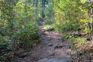 Wanderweg zum Arbersee