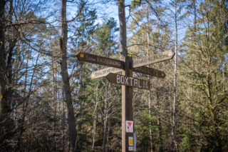 Wegweiser in verschiedene Richtungen