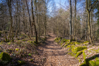 Historischer wanderweg