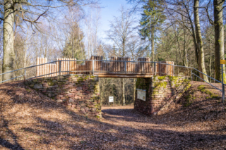 Rekonstruierter Ringwall